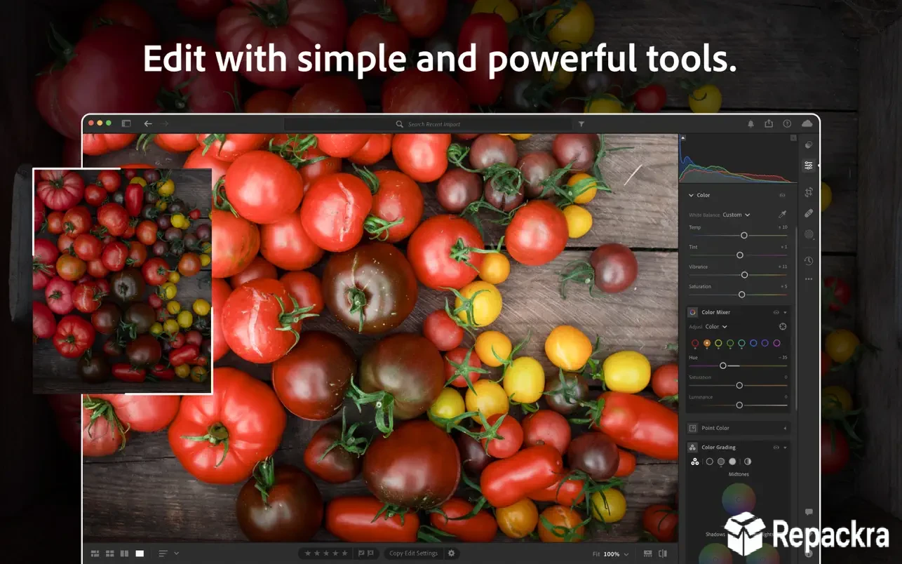 Adobe Lightroom Classic Library module interface displaying a grid catalog of imported photos
