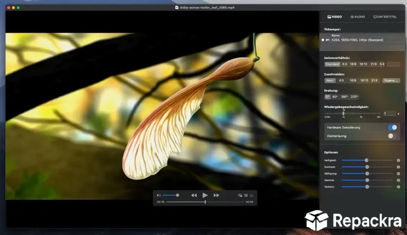 IINA player interface on a Mac running a video file alongside open audio, video, and subtitle configuration controls.