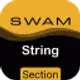 SWAM String Sections advanced parameters dashboard configuration panel on Windows