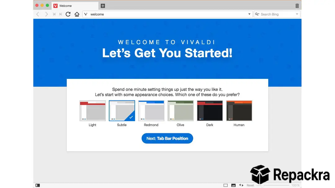 Vivaldi web browser initialization screen showing theme configuration choices.