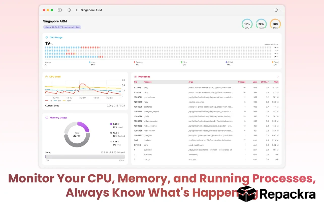 SwiftServer monitoring interface on Mac displaying detailed CPU usage, memory load graphs, and active system processes.