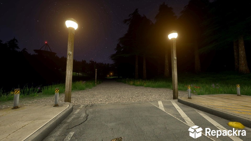 voices-of-the-void-gameplay-night-environment-forest-path