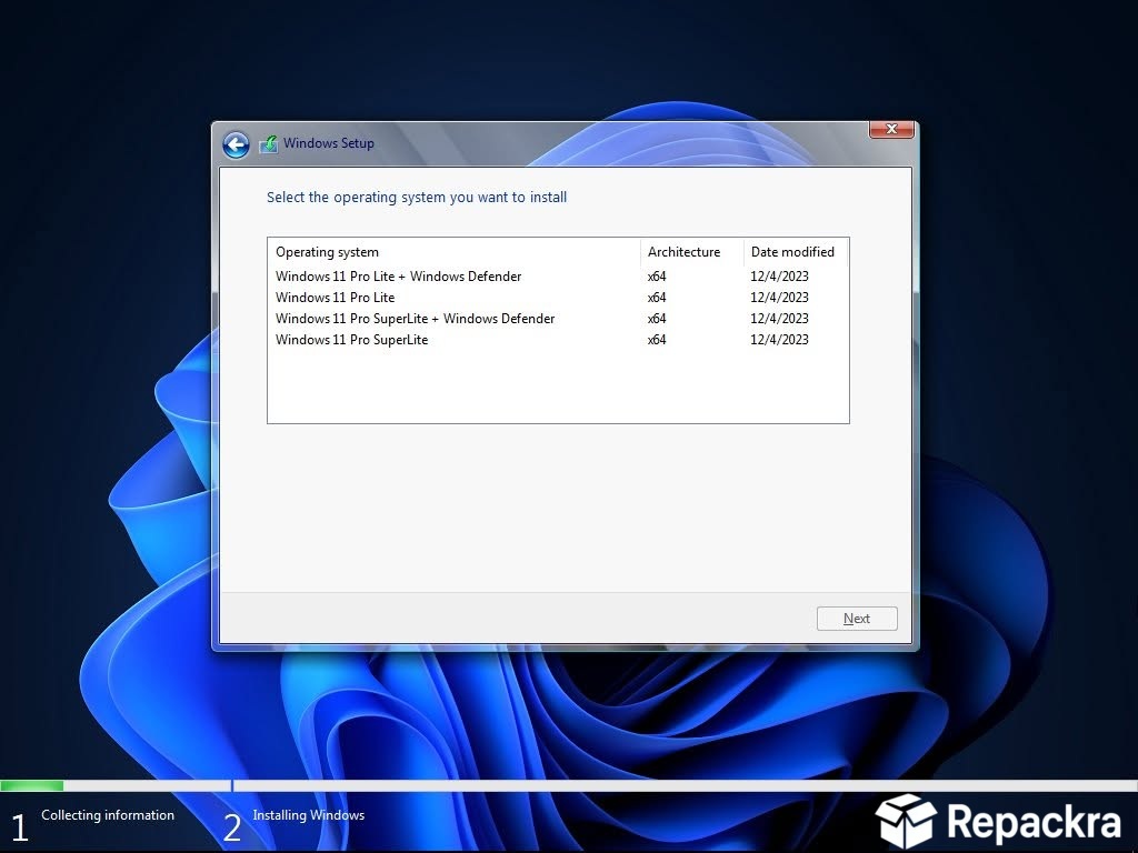 Windows Setup wizard window displaying options to install lightweight Windows 11 Pro Lite versions.
