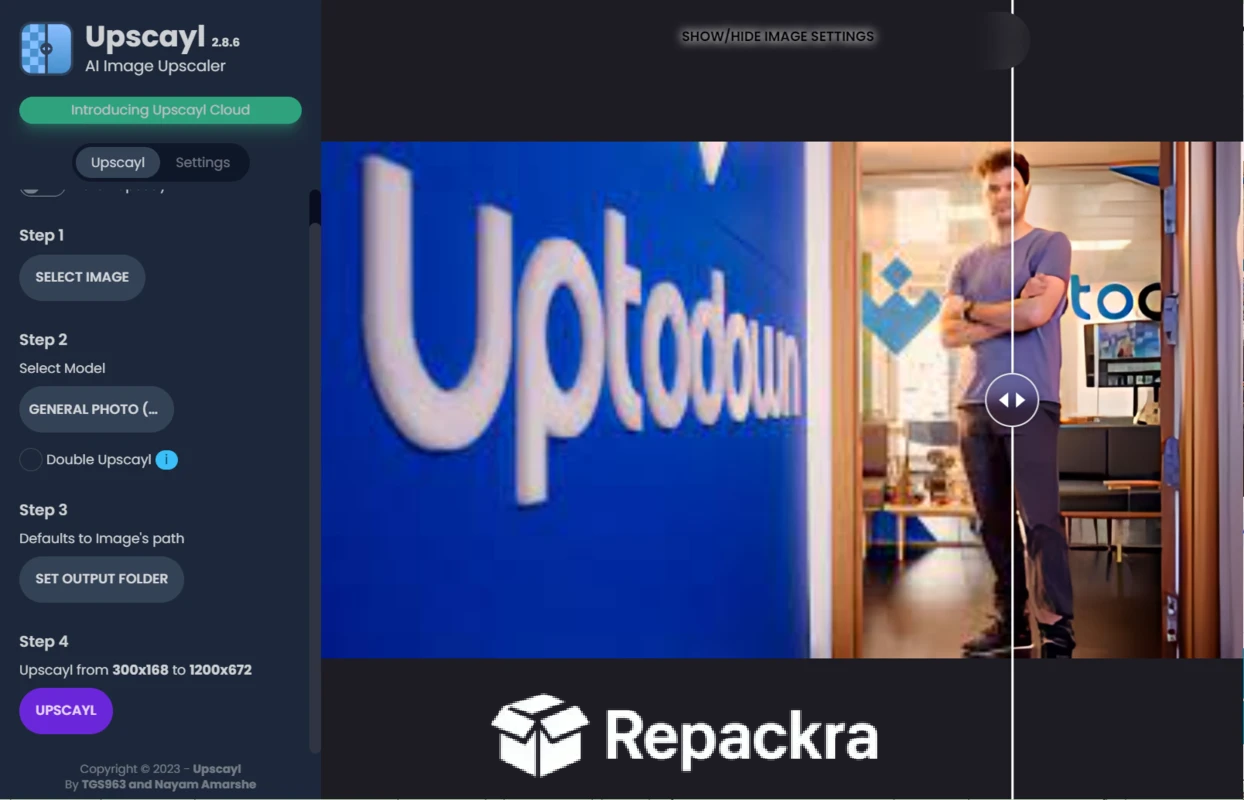 Upscayl Desktop App Interface Before and After Comparison View Screenshot