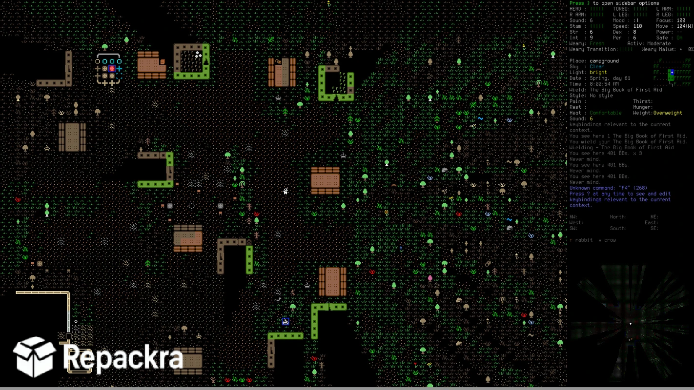 cataclysm-dark-days-ahead-ascii-wilderness-campground-gameplay