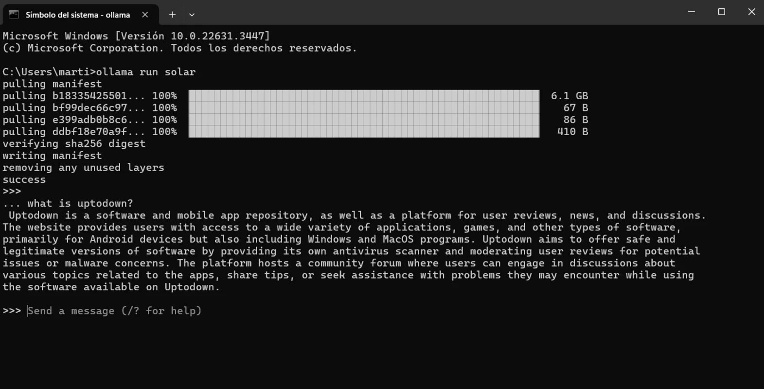 Ollama Running Solar Model in Windows Command Prompt