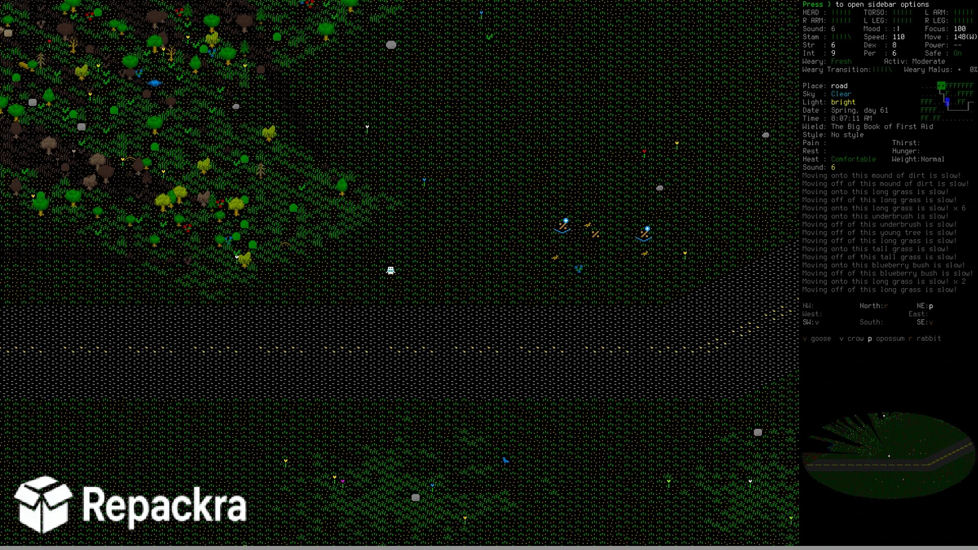 Cataclysm Dark Days Ahead ASCII Open Road Gameplay Screenshot