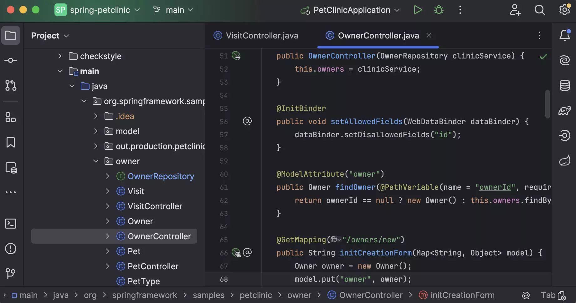 IntelliJ IDEA Dark Theme Workspace Editing Spring PetClinic OwnerController Java Class