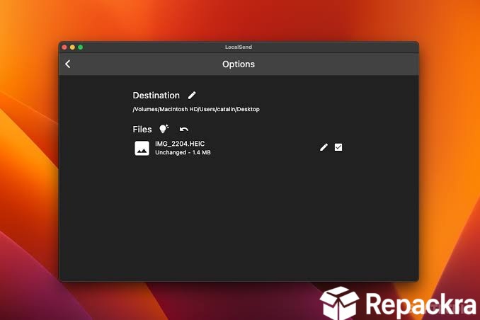 LocalSend for Mac File Transfer Options Screen Screenshot