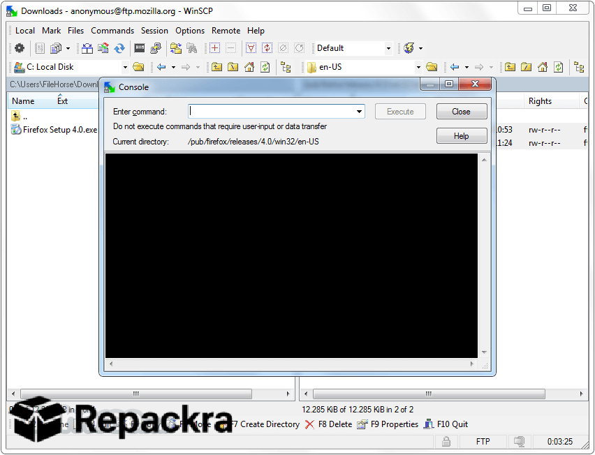 WinSCP Console Command Interface Window Screenshot