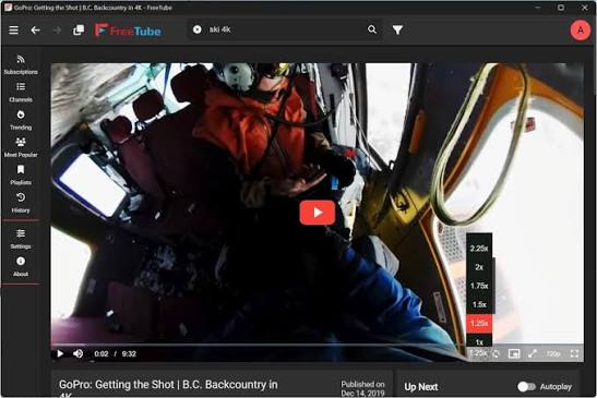 FreeTube App Interface Multi-View Grid Showing Video Player, Search Results, Watch History, Channel Profile, and Settings Menus